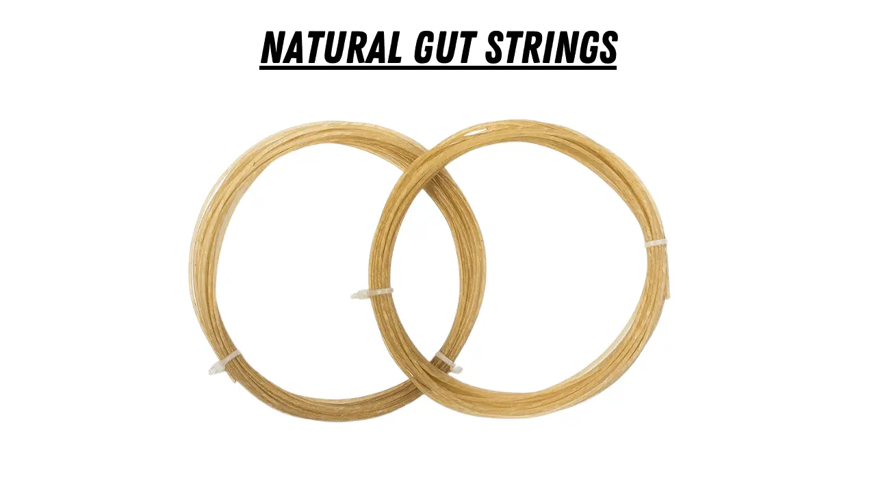 Babolat VS Touch Natural Gut tested on court
